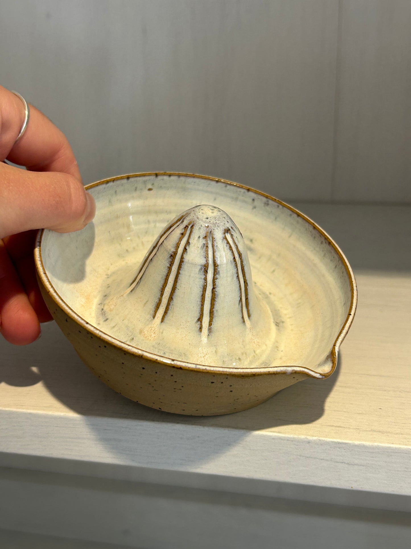 Speckled Sandy Beach Lemon Squeezer