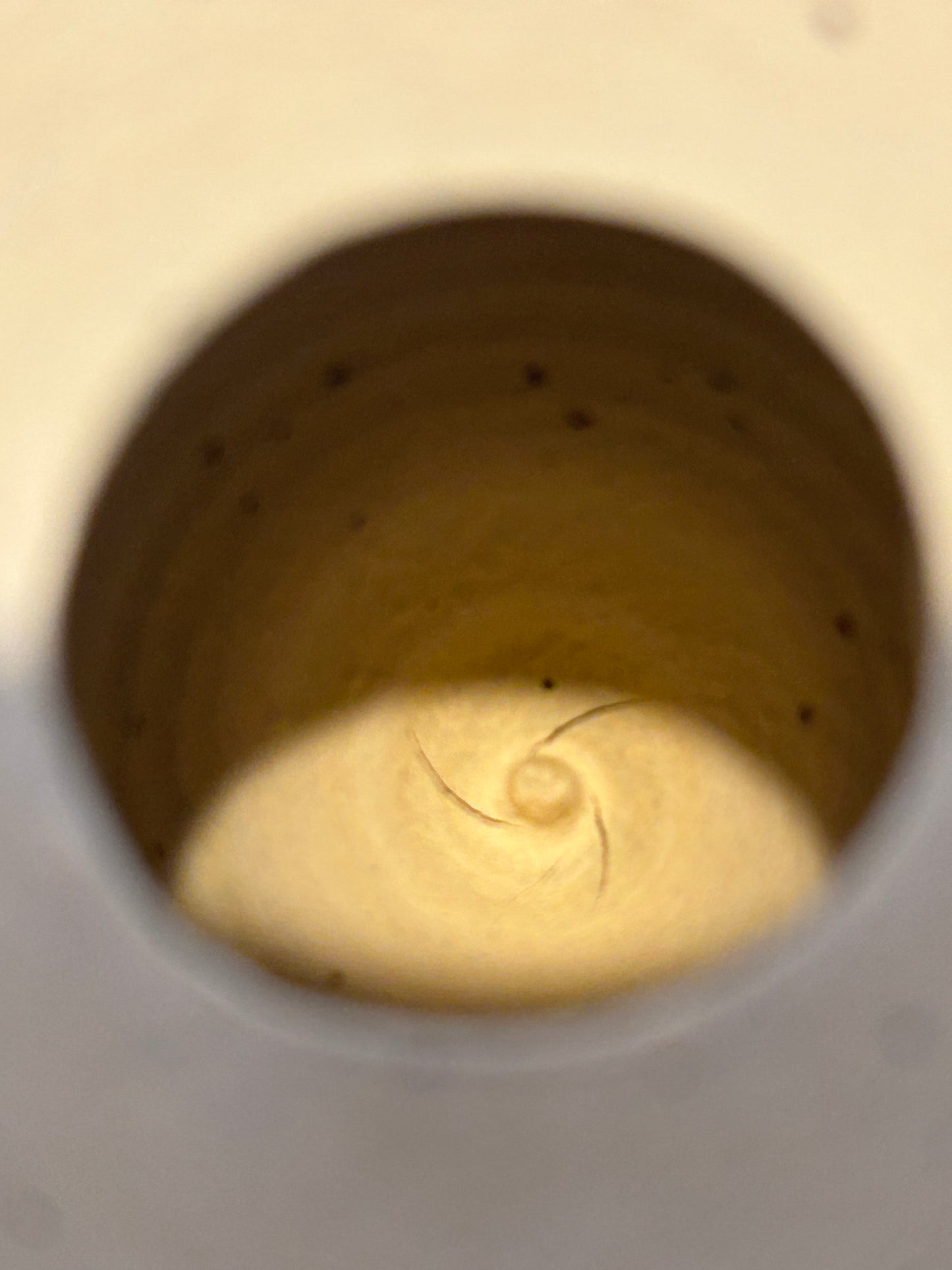 Speckled Sandy Beach Lemon Squeezer
