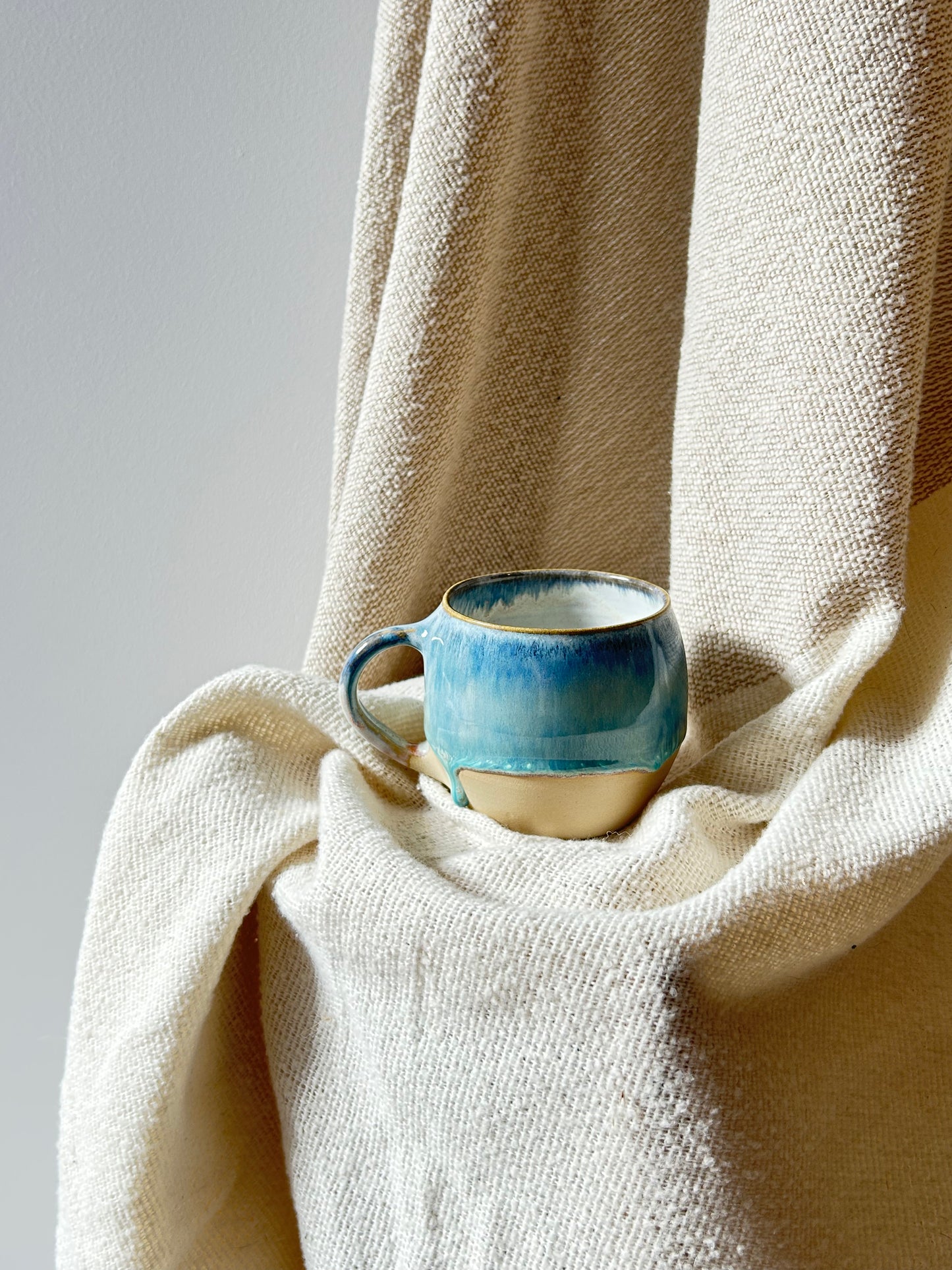 Cascading Falls Mug