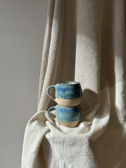Cascading Falls Mug